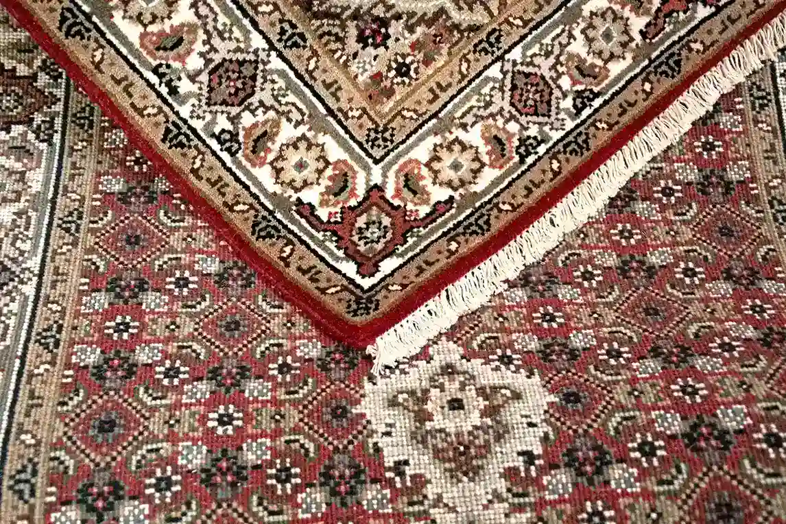 3 x 10 New Tabriz Indian Wool Rug - Image 5
