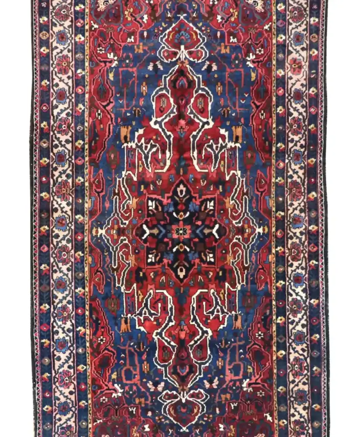 6 x 11 Vintage Bakhtiari Persian Wool Rug